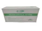 Kit Escova Cervical Estéril Completo Com 1000 Unidades Kit Escova Cervical Estéril Completo Com 1000 Unidades