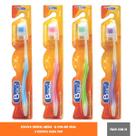 Kit Escova De Dente Cerdas Duras Higiene Bucal Limpeza Dental Pack Econômico Família Com 12 Unidades Kit Escova De Dente Cerdas Duras Higiene Bucal Limpeza Dental Pack Econômico Família Com 12 Unidades