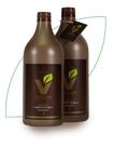 Kit Escova Progressiva Orgânica Profissional enviorapido