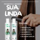 Kit Escova Progressiva Organica Tratamento Capilar 600 Ml