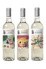 Kit Especial Brancos de Frescor Audace Wine