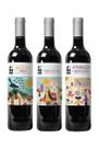 Kit Especial Tintos Clássicos Audace Wine