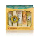 Kit essencial Burt's Bees para viagem com 5 produtos