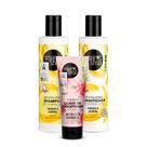 Kit Essencial Cabelo Liso Organic Shop Kit Essencial Cabelo Liso Organic Shop