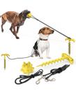 Kit exercício e segurança para pet COR SORTIDO