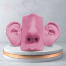 Kit Expositor - Orelha Oval e Nariz De Silicone - Rosa