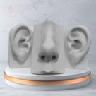 Kit Expositor - Orelha Vertical e Nariz De Silicone - Branco