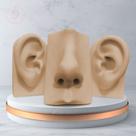 Kit Expositor - Orelha Vertical e Nariz De Silicone - Nude