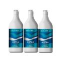 Kit Extrato De Mirtilo 2 Shampoos + 1 Condicionador 1 Litro Lowell