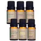 Kit Família Impulso Total Com 6 Óleo Essencial Puro e Natural Via Aroma 10ml