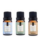 Kit Fantástico com 3 essencias Perfumadas Via Aroma