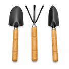 Kit Ferramentas Jardinagem Suculenta Cactos Bonsai 3 Peças