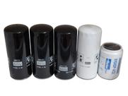 Kit Filtros Lubrificação FH/FM Com Motor D13A 8291423