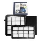 Kit filtros para aspirador de po electrolux lit31 original