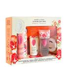 Kit Florentina Spa Pomegranate - Sabonete Liquido 500ml + Shower Gel 200ml + Body Lotion 200ml + Sabonete 115g + Esponja De Banho Kit Florentina Spa Pomegranate - Sabonete Liquido 500ml + Shower Gel 200ml + Body Lotion 200ml + Sabonete 115g + Esponja De Banho
