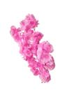 Kit Flores De Cerejeira Artificial, 10 Galhos Rosa