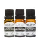 Kit Foco e Concentração Óleos Essenciais Alkymia di Grandha
