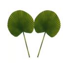 Kit Folhagem Folha Latânia 36cm 2 Un. Flores Artificial