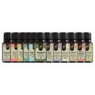 Kit Forte 12 Essências Aromatizantes P/ Difusor Nattuaromas