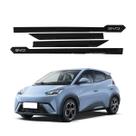 Kit Friso Lateral Byd Dolphin Mini Escrita Personalizada