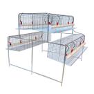 kit gaiola suspensa para galinhas poedeiras 48 aves kit gaiola suspensa para galinhas poedeiras 48 aves