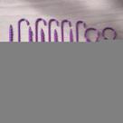 Kit Gancho Budclip - Lst - Low Stres Training Cultivo Indoor Kit Gancho Budclip - Lst - Low Stres Training Cultivo Indoor