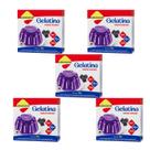 Kit Gelatina Amora Zero Açúcar - Lowçucar 5 Unidades 10g