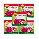 Kit Gelatina Cereja Diet com Stevia - Lowçucar Plus 5 Unidades de 10g