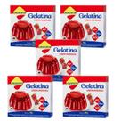 Kit Gelatina Morango Zero Açúcar - Lowçucar 5 Unidades 10g