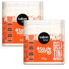 Kit Gelatina Salon Line Todecacho Nutritiva 550g - 2 Unidades Kit Gelatina Salon Line Todecacho Nutritiva 550g - 2 Unidades