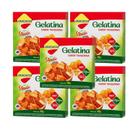 Kit Gelatina Tangerina Diet com Stevia - Lowçucar Plus 5 Unidades 10g Kit Gelatina Tangerina Diet com Stevia - Lowçucar Plus 5 Unidades 10g