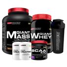 Kit Giant Mass 3kg + Giant Whey 900g + BCAA 4.5 250g + 2x Creatina 100g + Coqueteleira - Bodybuilders