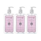 Kit Giovanna Baby Álcool Gel Classic 3 unid 500ml