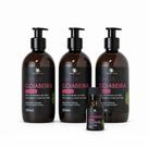 Kit Goiabeira Tratamento Capilar Completo Shampoo 250ml Máscara 250ml Leave In 250 e Tônico 30ml