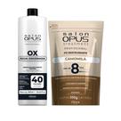 Kit Grande descoloração Completa Água oxigenada 900ml e Pó descolorante Camomila 300g Salon Opus