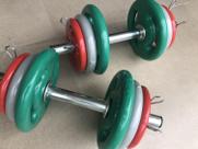 Kit halter 24kg anilhas emborrachadas de feero