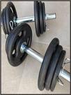 Kit halter 24kg anilhas pintadas de feero