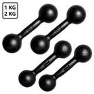 Kit Halteres de Ferro Fundido Pintado Pares de 1Kg e 2Kg