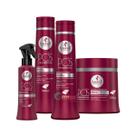 kit Haskel Pós Progressiva P/cabelo quimicamente alisado 500