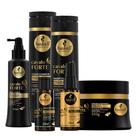 Kit Haskell Cavalo Forte Haskell 300mL 6 Itens