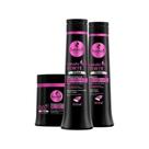 Kit Haskell Cavalo Forte Hidra Sh+Cond 500ml e Máscara 300g