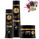 Kit Haskell Cavalo Forte Sh 500ml Cond 300ml Mascara 300g