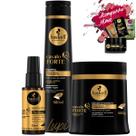 Kit Haskell Cavalo Forte Sh 500ml Mascara 500g + Selante