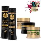 Kit Haskell Cavalo Forte Sh Cond 300 + Cronograma Capilar