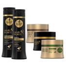 Kit Haskell Cavalo Forte Sh Cond 300 + Cronograma Capilar