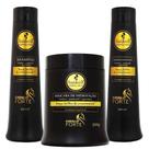 Kit haskell cavalo forte sh cond masc 500 ml tratamento salão Kit haskell cavalo forte sh cond masc 500 ml tratamento salão