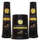 Kit haskell cavalo forte sh (xampu) cond masc 500ml tratamento salão
