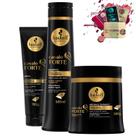 Kit Haskell Cavalo Forte Shampoo 500ml Mascara 500g Leave-in