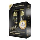 Kit Haskell Cavalo Forte Shampoo E Condicionador 2x300ml