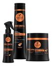Kit Haskell Encorpa Cabelo (3 itens) Cabelos 2x Mais Encorpados